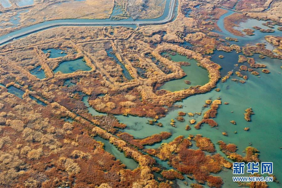 (美丽中国)(1)新疆玛纳斯:秋日湿地画卷
