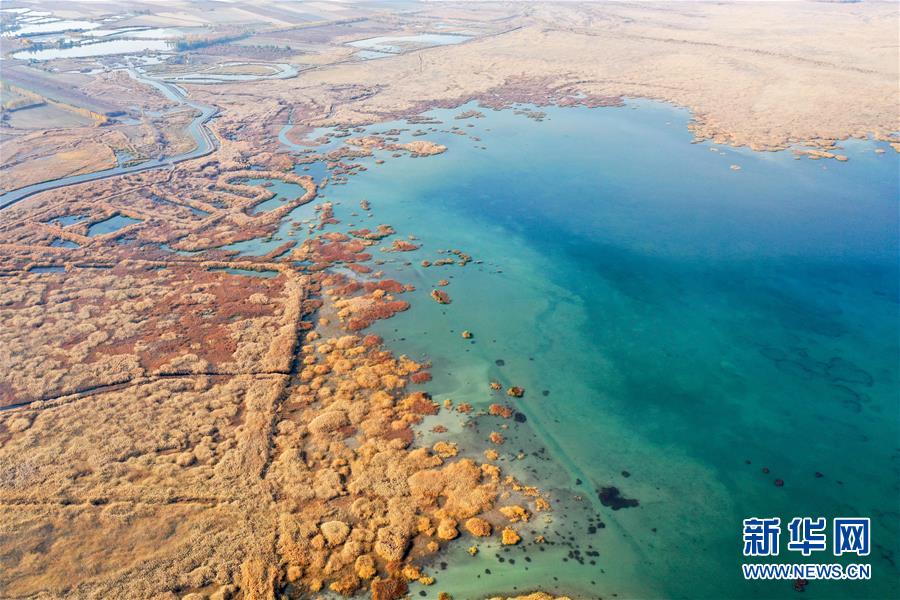 (美丽中国)(4)新疆玛纳斯:秋日湿地画卷