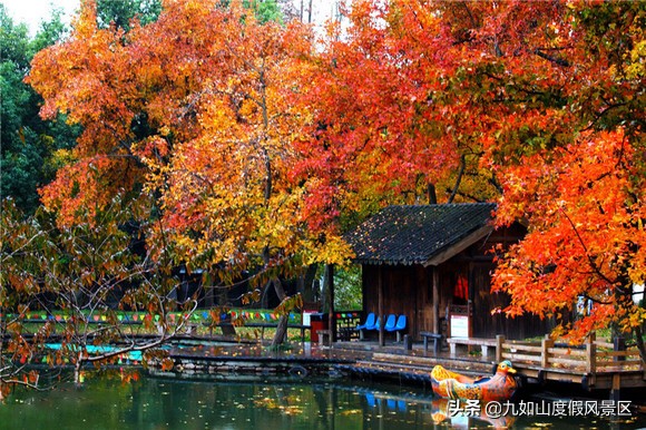 色彩斑斓迷人眼！盘点中国10大赏秋胜地，看一眼就想要即刻出发