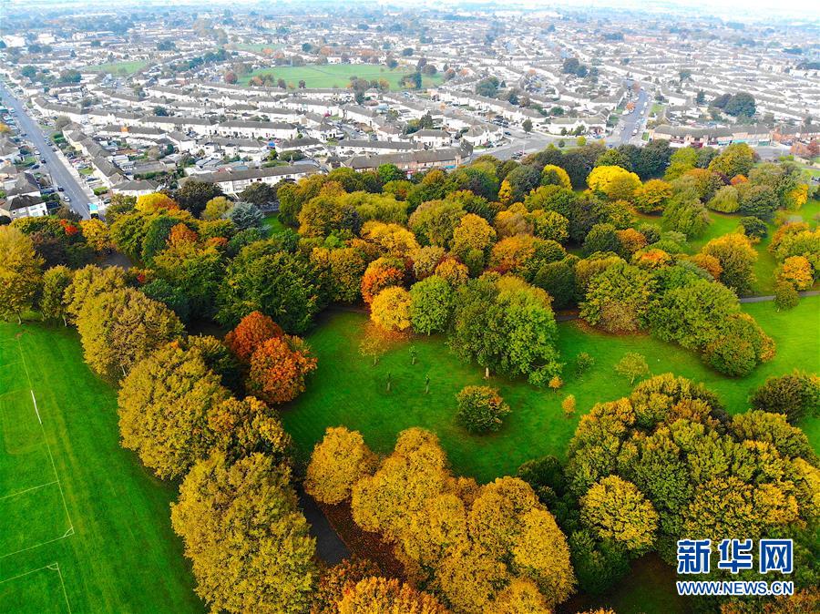 这是10月18日在爱尔兰首都都柏林拍摄的秋景（无人机照片）。 随着秋季来临，都柏林大片色彩斑斓的树叶将城市装扮得分外娇娆。 新华社发