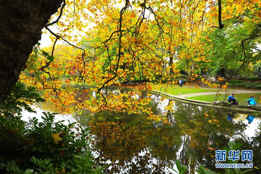 10月18日，人们在爱尔兰首都都柏林的一个公园内休闲。 随着秋季来临，都柏林大片色彩斑斓的树叶将城市装扮得分外娇娆。 新华社发