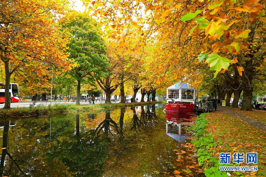 这是10月18日在爱尔兰首都都柏林拍摄的河边秋景。 随着秋季来临，都柏林大片色彩斑斓的树叶将城市装扮得分外娇娆。 新华社发