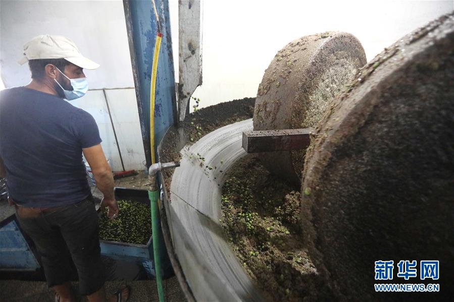 10月18日，一名工人在黎巴嫩南部一家榨油坊榨橄榄油。 黎巴嫩南部一些地区至今依然保留着用传统石碾压榨橄榄油的做法。 新华社发（比拉尔·贾维希摄）