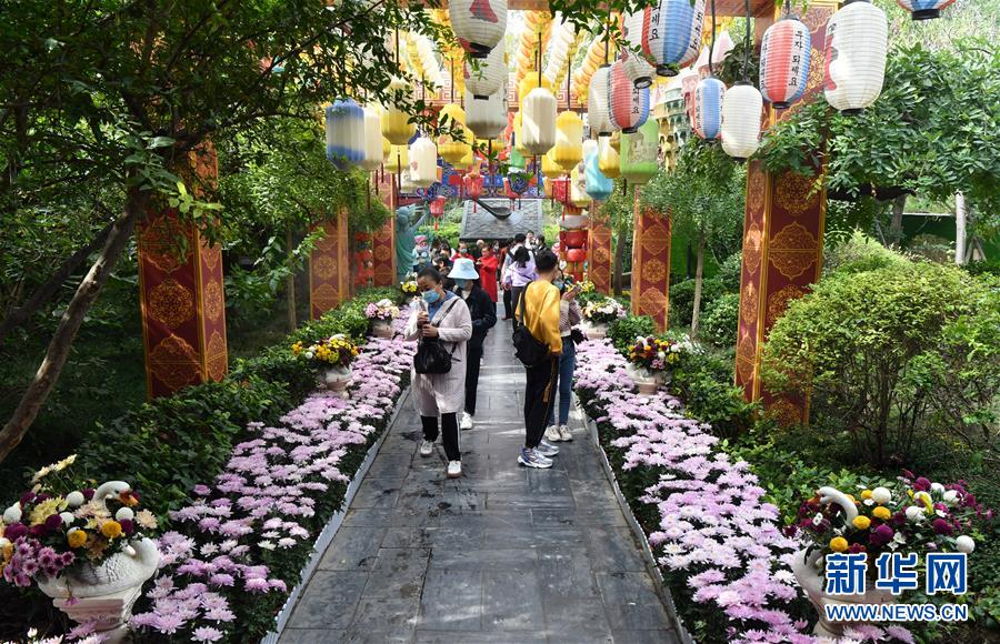 10月18日，游客在开封清明上河园内赏菊游玩。 当日，中国开封第38届菊花文化节拉开帷幕，开封市布展菊花320万盆，姿态万千的菊花灿烂绽放，喜迎八方游客。 新华社记者 李嘉南 摄