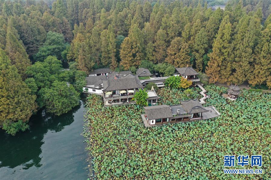 10月22日，西湖周边的植被染上秋色（无人机照片）。 近日，随着气温降低，杭州西湖初露秋色，显出迷人风韵。 新华社记者 翁忻旸 摄