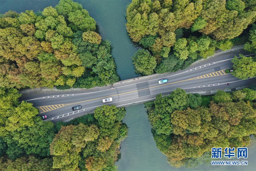 10月22日，机动车在西湖杨公堤上行驶（无人机照片）。 近日，随着气温降低，杭州西湖初露秋色，显出迷人风韵。 新华社记者 翁忻旸 摄