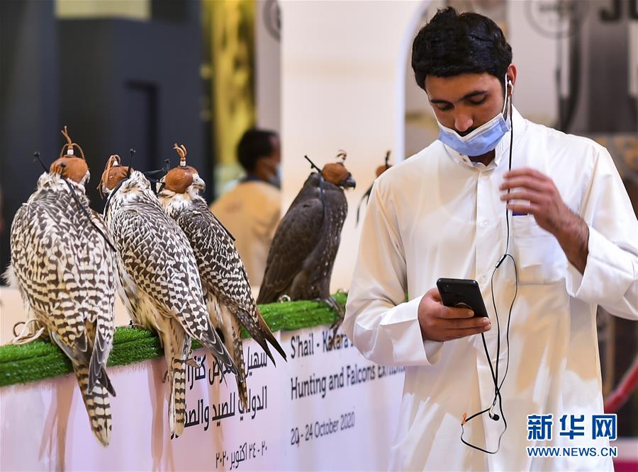 这是10月22日在卡塔尔多哈第四届国际狩猎和猎鹰展上拍摄的猎鹰。 当日，第四届国际狩猎和猎鹰展在卡塔尔首都多哈的卡塔拉文化村举行，共有来自十三个国家的一百多家公司参加本次为期三天的展会。 新华社发（尼库摄）