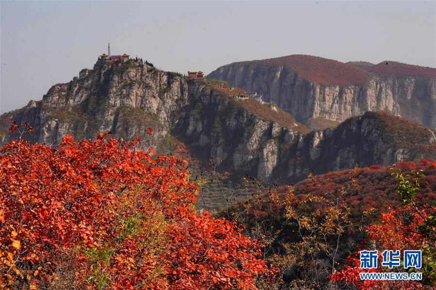 （环境）（1）河北沙河：红叶染太行