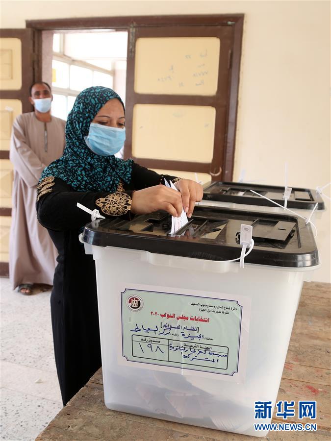 （国际）（3）埃及议会下院选举开始第一阶段国内投票