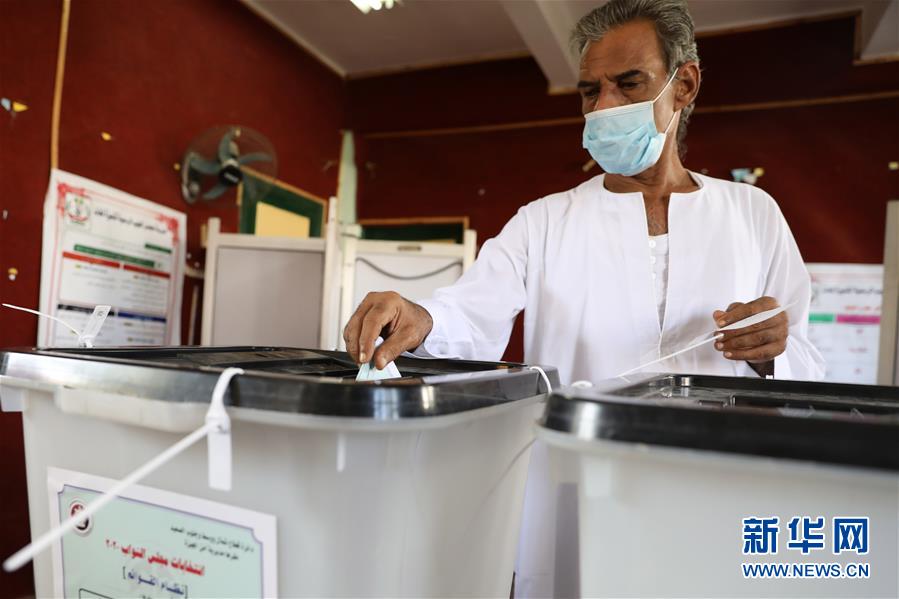 （国际）（6）埃及议会下院选举开始第一阶段国内投票