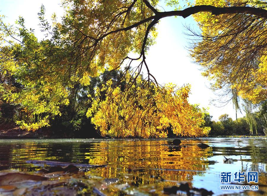 这是10月22日拍摄的北京奥林匹克森林公园秋景。 金秋时节，北京秋高气爽、层林尽染，美不胜收。 新华社记者 罗晓光 摄