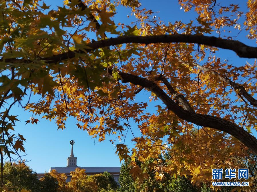 这是10月23日拍摄的北京中国人民革命军事博物馆附近的秋景。 金秋时节，北京秋高气爽、层林尽染，美不胜收。 新华社记者 罗晓光 摄