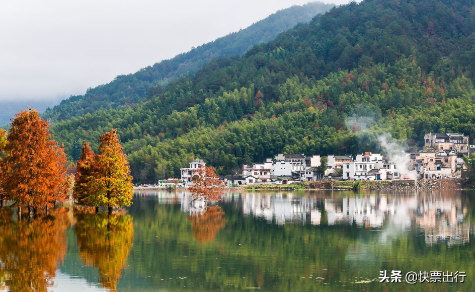 11月去旅行，国内这些秋景哪个最让你心动？