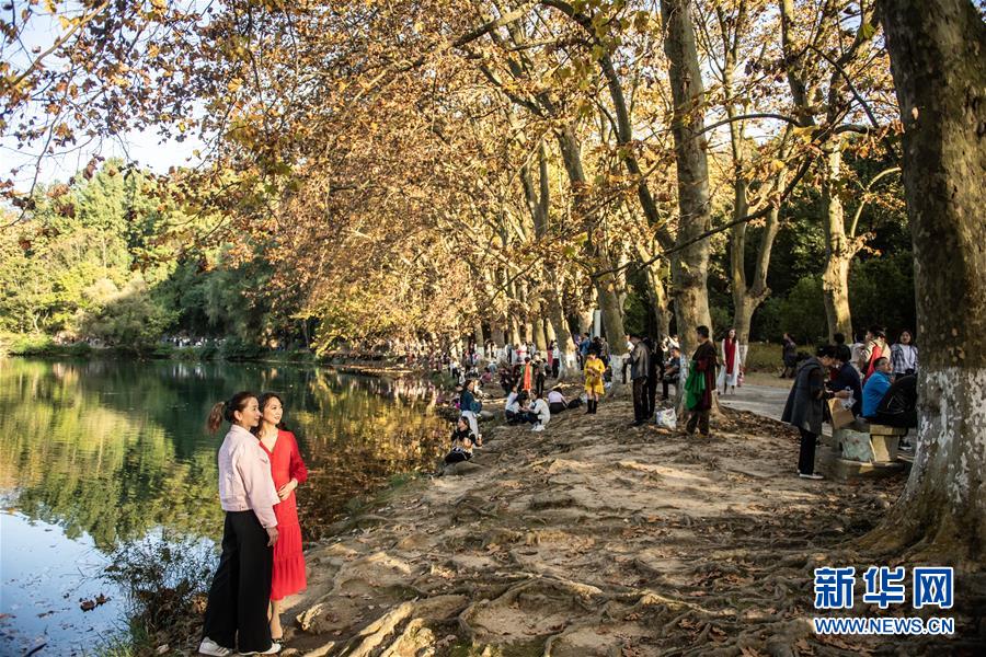 10月25日，游客在贵阳市花溪国家城市湿地公园黄金大道游玩、拍照留念。 深秋时分，贵州省贵阳市花溪国家城市湿地公园黄金大道秋意盎然，吸引众多游客前来观赏游玩。 新华社记者 陶亮 摄