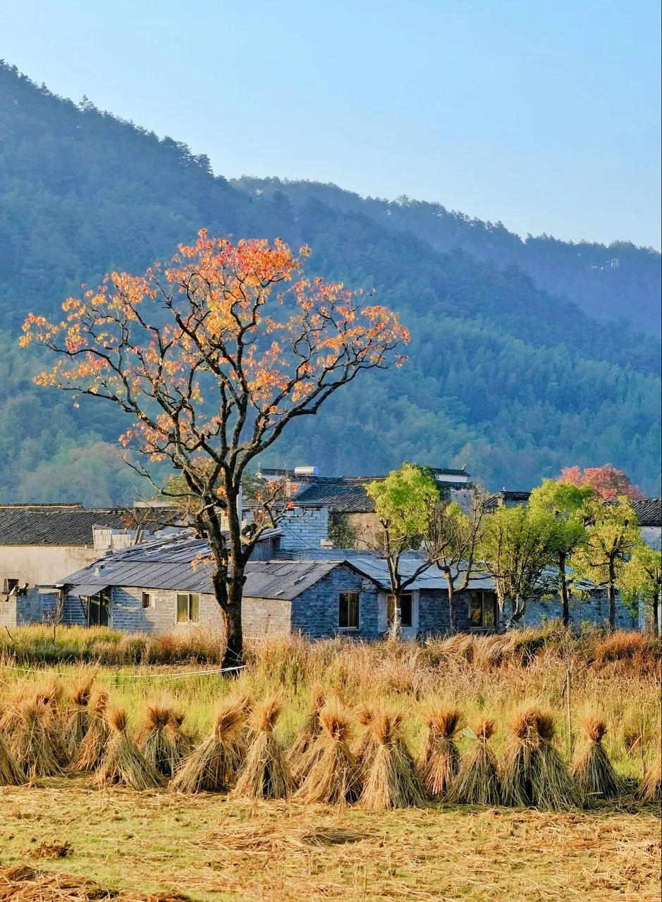 秋色绝美的10个古镇,累了就去小住几日