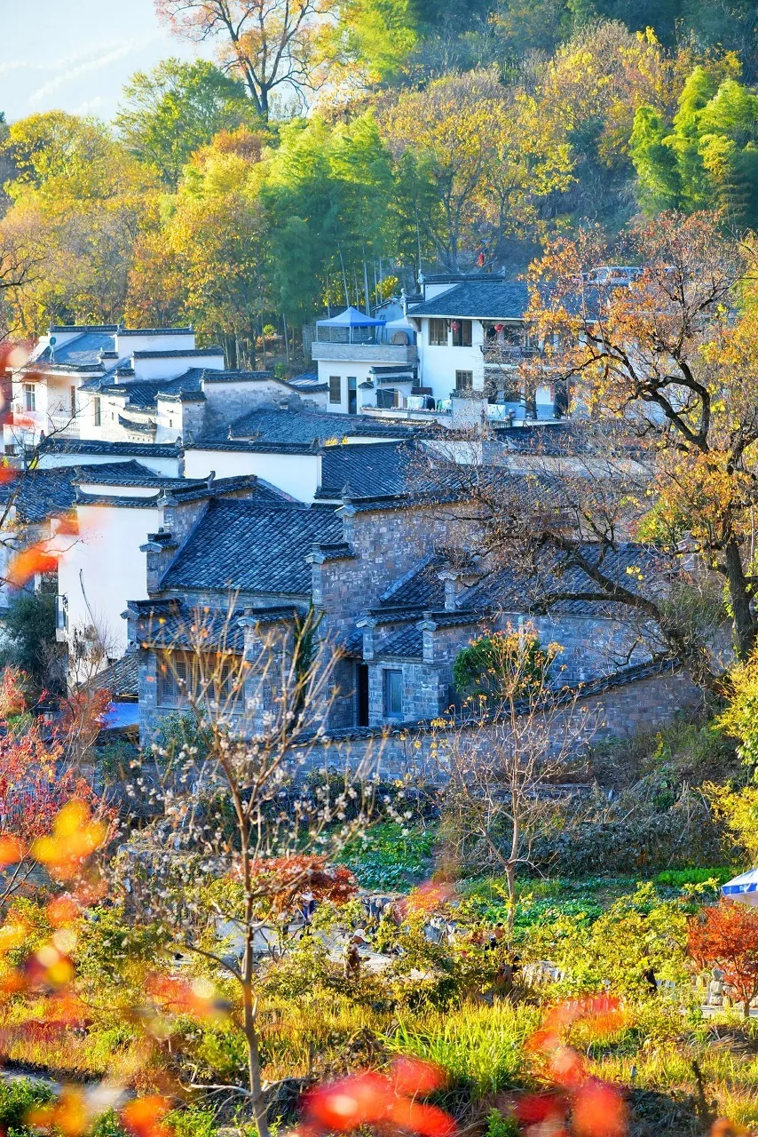 秋色绝美的10个古镇,累了就去小住几日