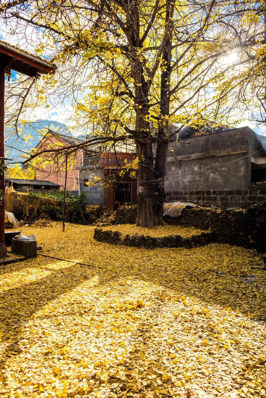 秋色绝美的10个古镇,累了就去小住几日