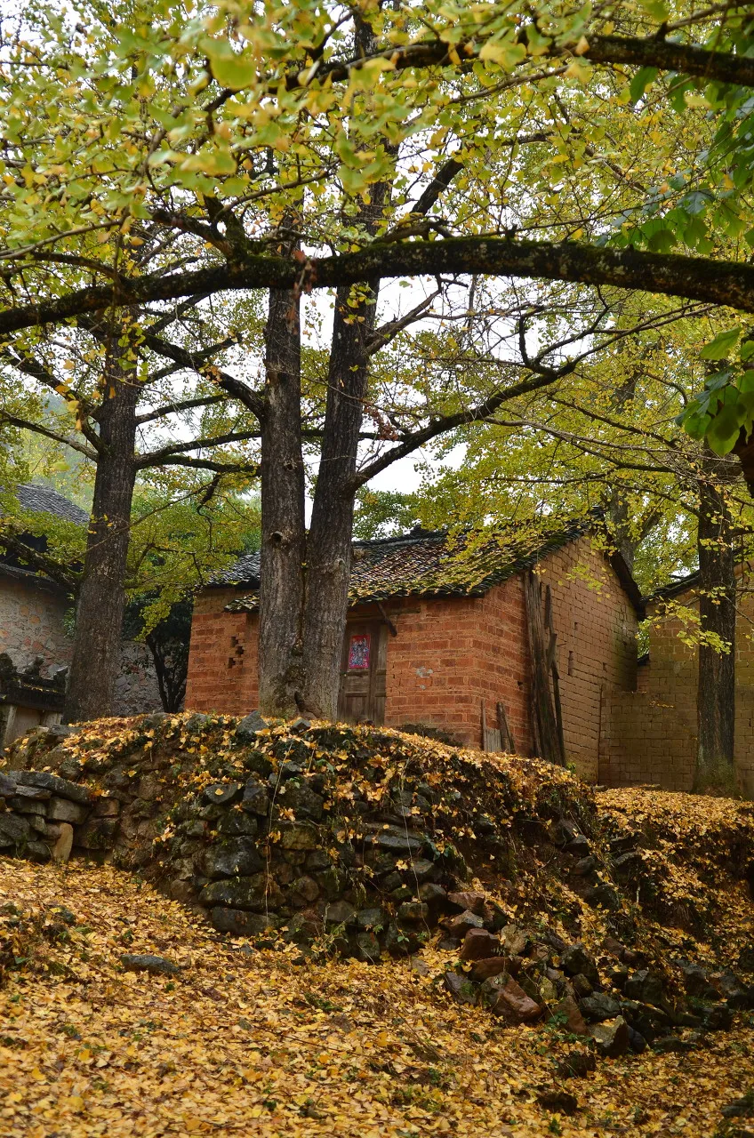 秋色绝美的10个古镇,累了就去小住几日