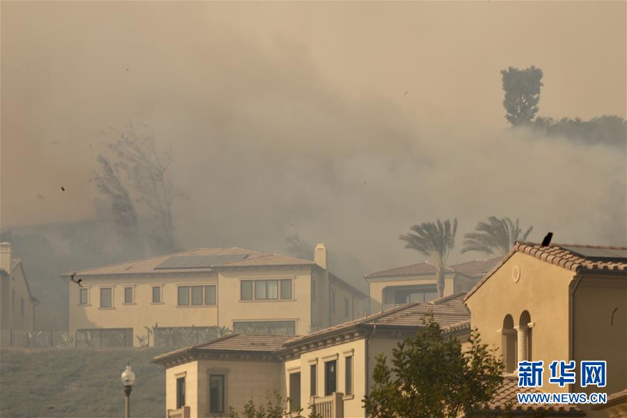 （国际）（6）美国加州南部野火导致数万居民被迫撤离