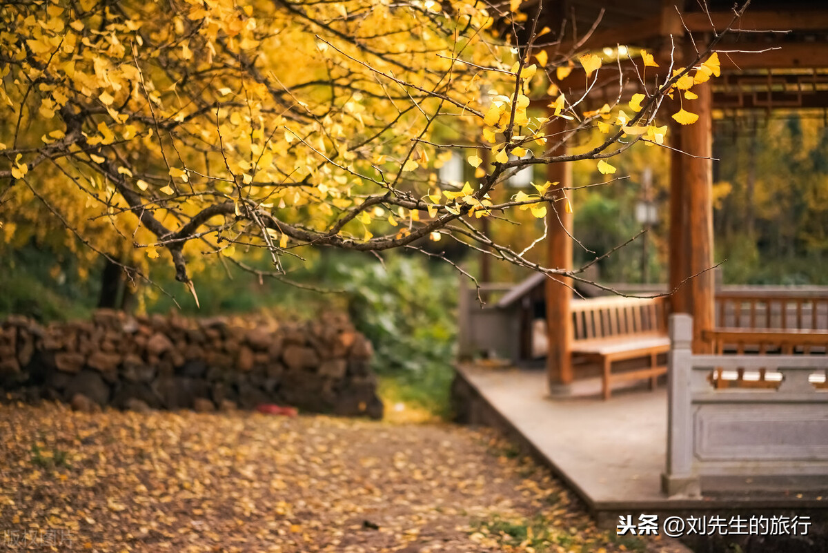 11月十大小众旅行目的地推荐,人少景美,无人打扰