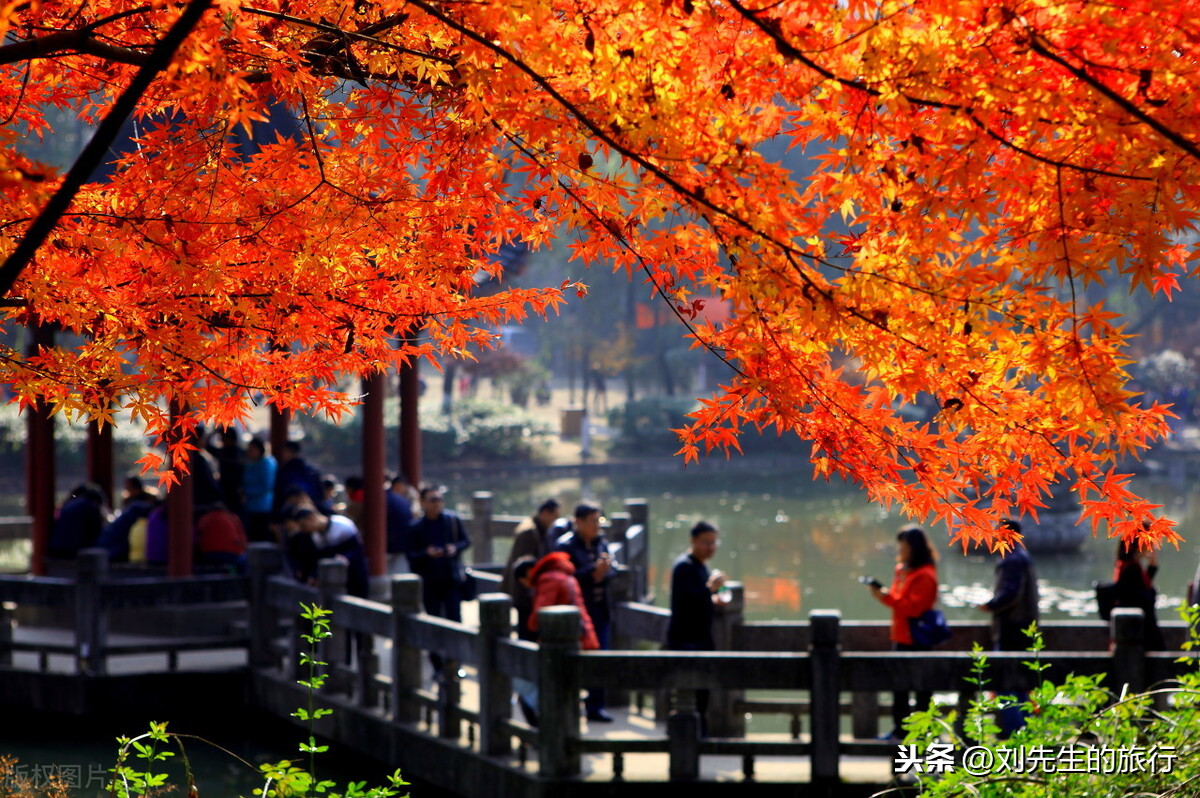 11月十大小众旅行目的地推荐,人少景美,无人打扰