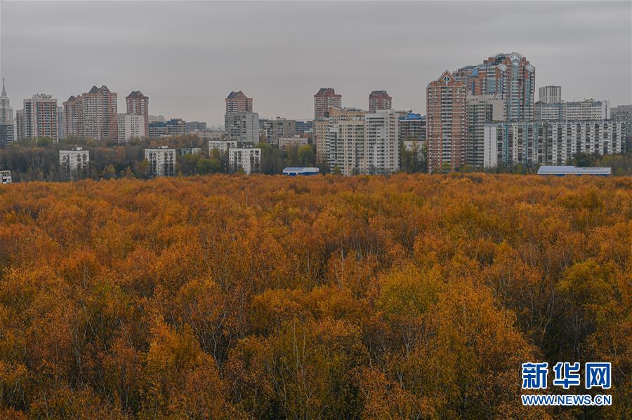 这是10月29日在俄罗斯莫斯科的科罗缅斯克庄园拍摄的秋景。 科罗缅斯克庄园位于俄罗斯首都莫斯科东南，占地390公顷。作为莫斯科著名的文化古迹，科罗缅斯克庄园每天吸引众多游客前来游览。 新华社发（叶甫盖尼·西尼岑摄）