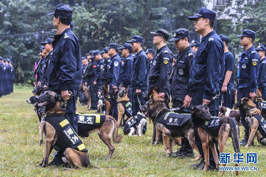 （社会）（2）广西南宁：警犬秀技能