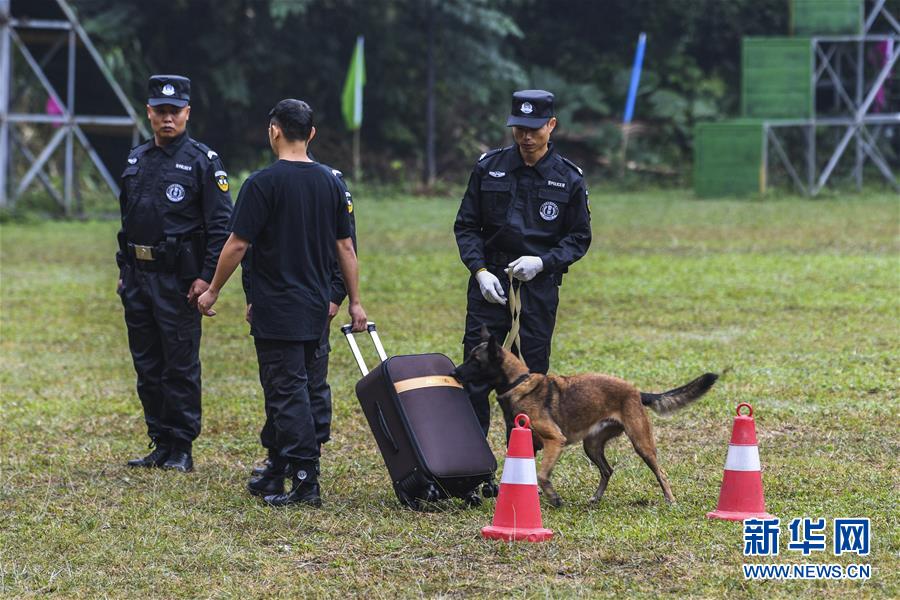 (社会)(4)广西南宁:警犬秀技能