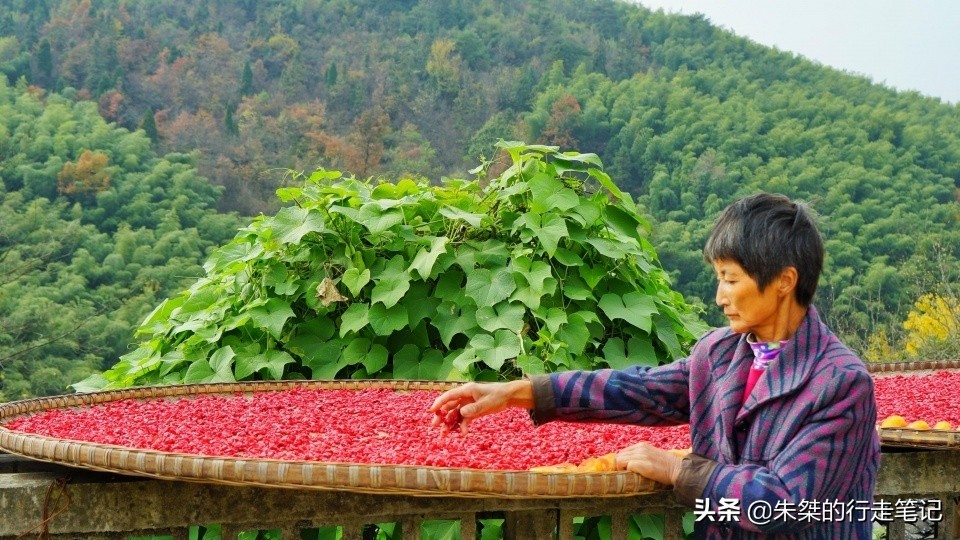 抓住秋天的尾巴,打卡我国最美的四大秋色观赏地,错过要再等一年