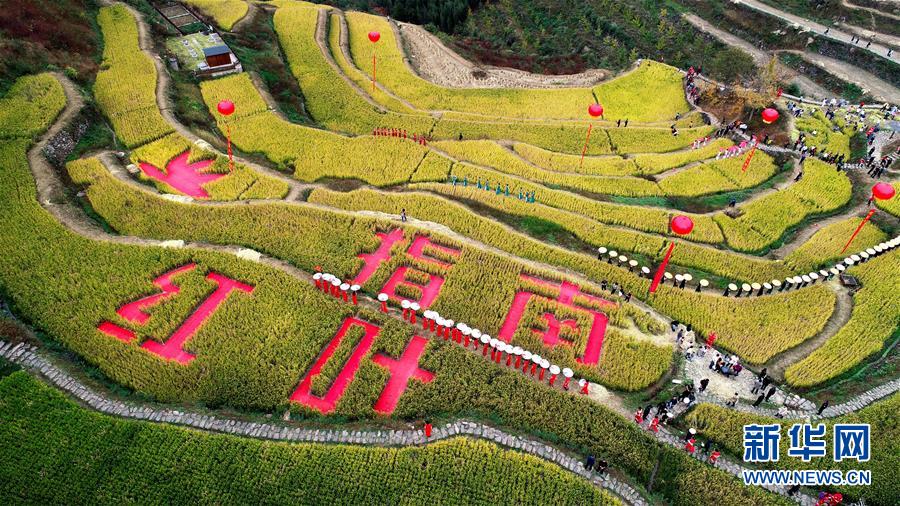 11月1日空中俯瞰指南村的金色稻田（无人机照片）。 11月1日，“指南红叶节”活动在浙江省杭州市临安区太湖源镇指南村举行。本次金秋红叶节将举行观赏金秋红叶梯田、梯田稻谷收割、古戏台银杏音乐会、山顶星空露营帐篷节等系列主题活动。 指南村海拔近600米，森林覆盖率达93%以上。每到深秋，村落周边的千亩梯田、金黄的银杏和火红的枫树将指南村装扮得美如画卷。 新华社记者 徐昱 摄