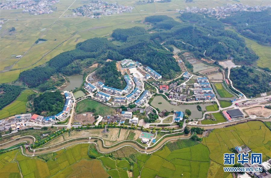 (环境)(1)广西宾阳:乡村秋景美