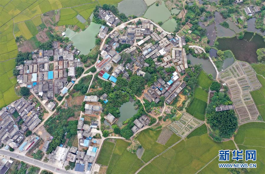 (环境)(3)广西宾阳:乡村秋景美