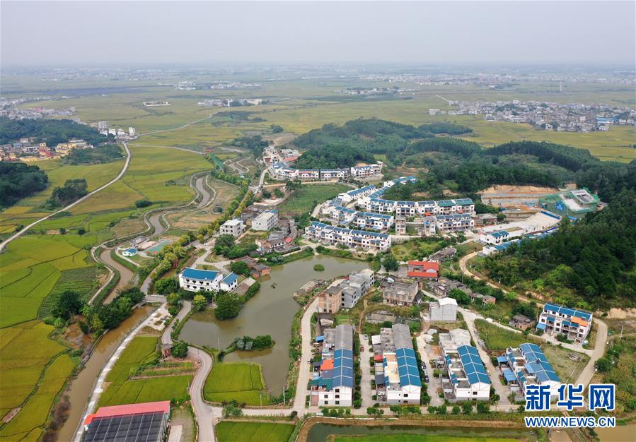 (环境)(4)广西宾阳:乡村秋景美