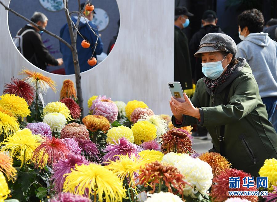 11月3日，游人在北京世界花卉大观园菊花展上参观拍摄。 近日，北京世界花卉大观园菊花展开幕，共展出来自2020北京世界花卉大观园第十一届菊花擂台赛的1500余盆菊花。 新华社记者 任超 摄