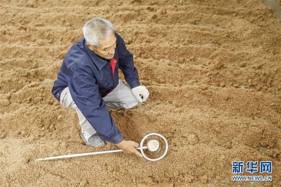 11月3日，工人在河南省平顶山市宝丰县石桥镇邢庄村一酿酒车间忙碌。新华社发（何五昌 摄）