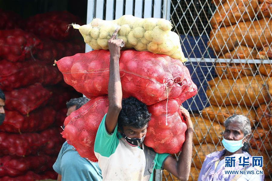 11月3日，在斯里兰卡首都科伦坡一处市场，一名商贩搬运准备分发给市民的生活必需品。 新华社发（阿吉特·佩雷拉摄）