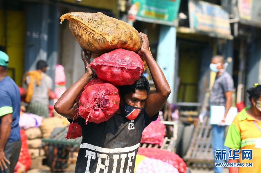 11月3日，在斯里兰卡首都科伦坡一处市场，一名商贩搬运准备分发给市民的生活必需品。 新华社发（阿吉特·佩雷拉摄）