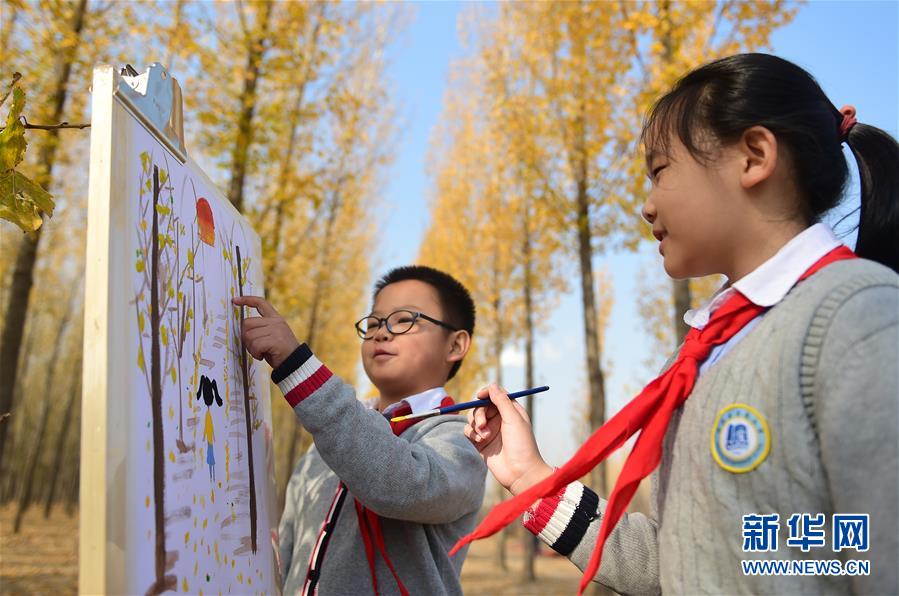 11月4日，沧州市实验小学学生在一处林地内绘画。 深秋时节，河北省沧州市实验小学美术兴趣小组的学生在老师的带领下走出教室，走进大自然，以“多彩森林”为主题，用画笔描绘斑斓秋色。 新华社发（傅新春 摄）