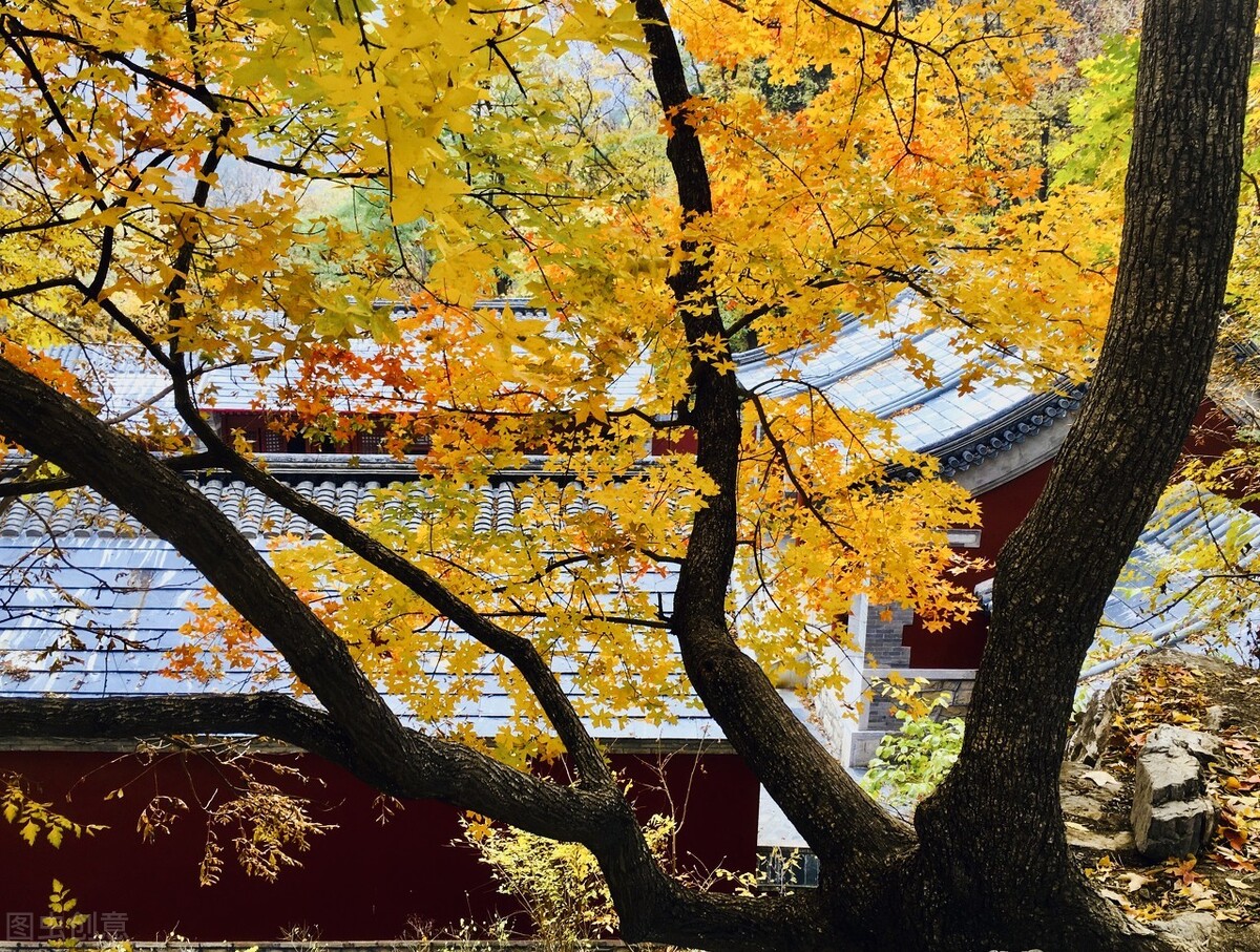 2021北京风景年票提前发布,其中这8个景点,最适合深秋打卡