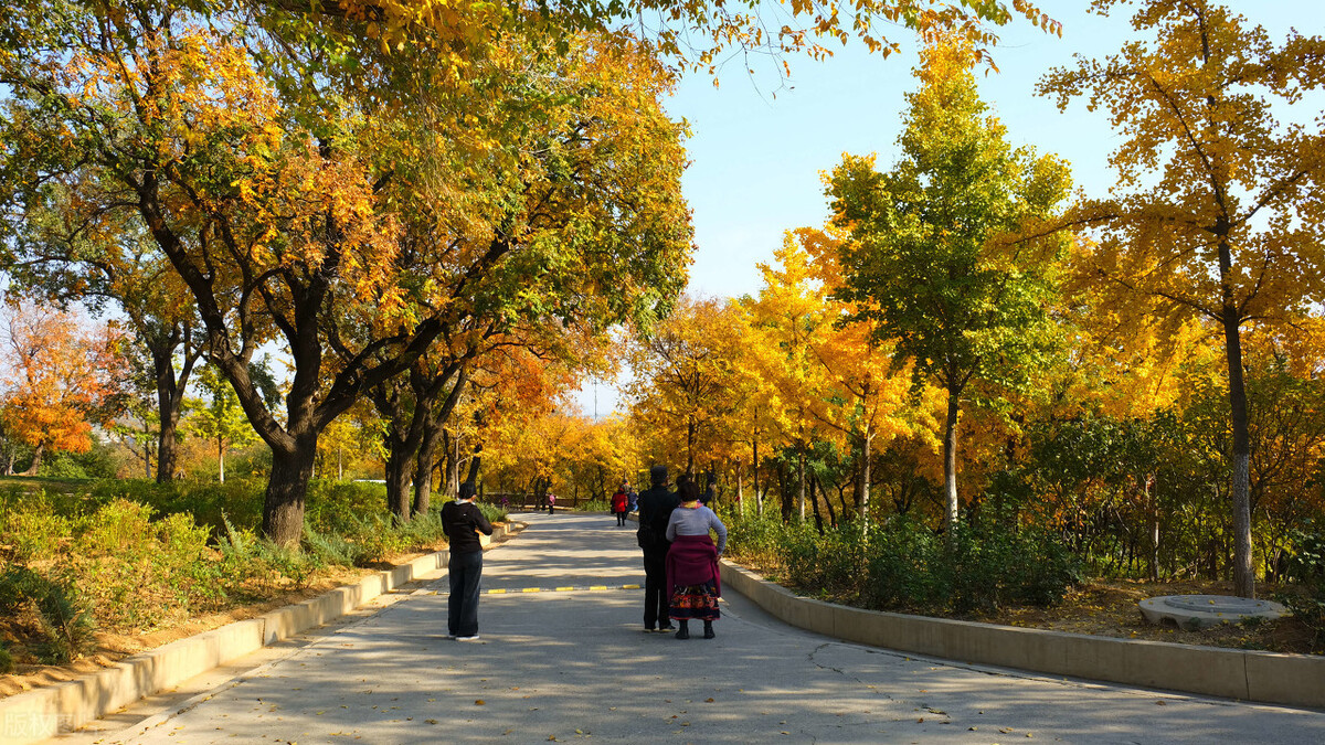 2021北京风景年票提前发布，其中这8个景点，最适合深秋打卡