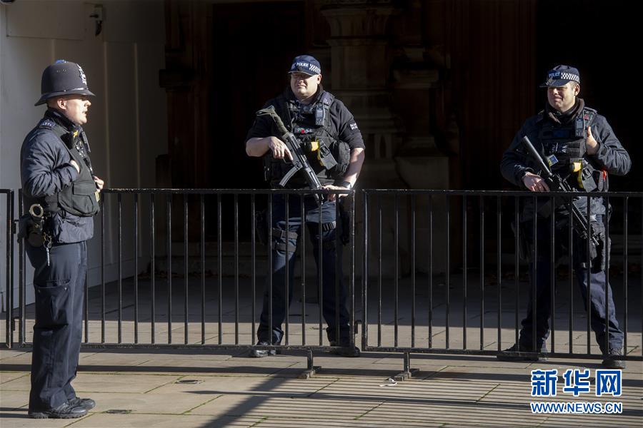 11月4日，安全人员在英国伦敦议会大厦外执勤。新华社发（雷伊·唐摄）