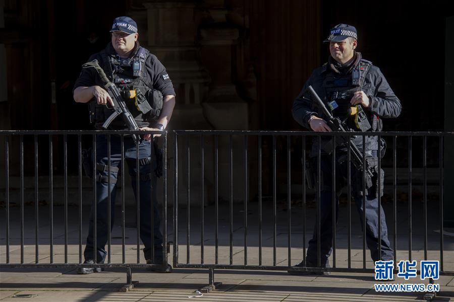 11月4日，安全人员在英国伦敦议会大厦外执勤。新华社发（雷伊·唐摄）
