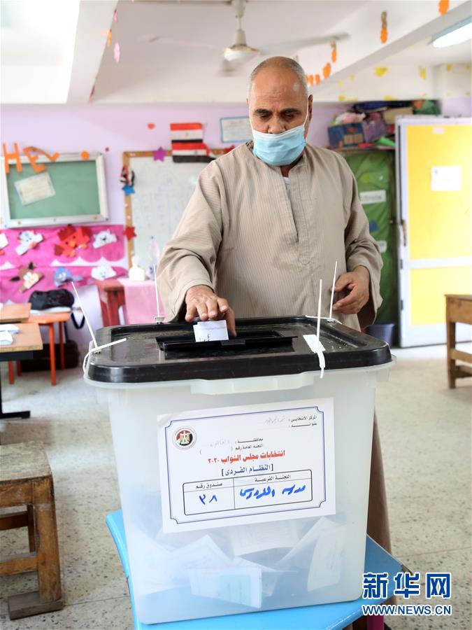 （国际）（2）埃及议会下院选举开始第二阶段国内投票