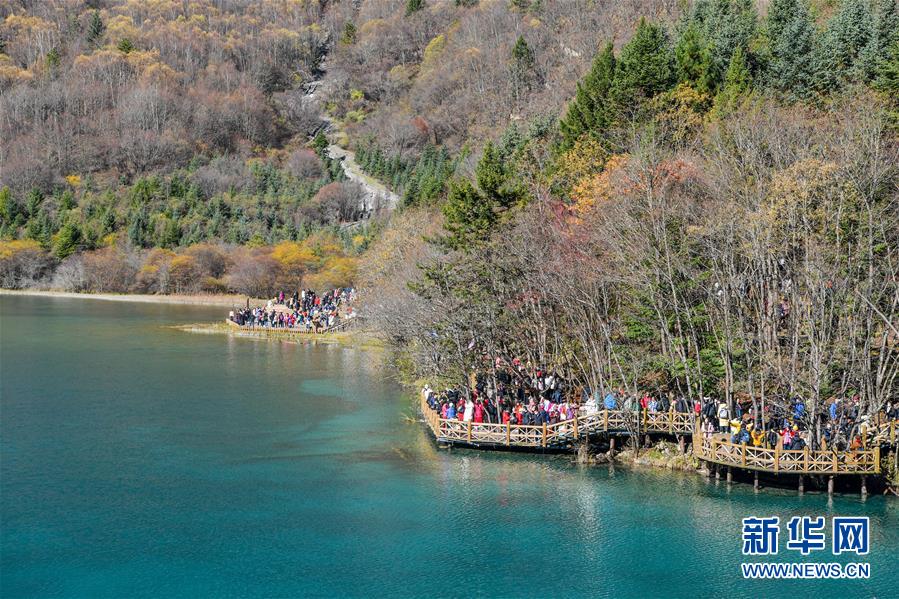 11月7日，游客在九寨沟景区游览。 新华社记者 张超群 摄