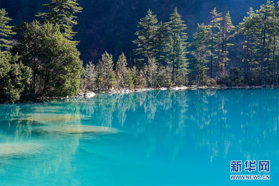 这是11月7日拍摄的九寨沟景区一景。  新华社记者 高健钧 摄