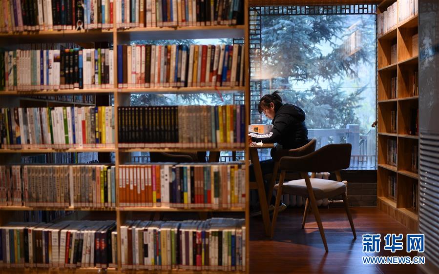11月8日，一名读者在西宁市城西区一处“五峰书院”阅读。 近年来，青海省西宁市城西区不断完善公共文化服务体系，以“书店+咖啡”“书店+文创”等方式，打造多处城市书房，为读者提供优质的公共阅读空间。目前，西宁市城西区已建成8处免费开放的“五峰书院”城市书房，总藏书超过18万册，电子图书超过23万册。 新华社记者 张宏祥 摄
