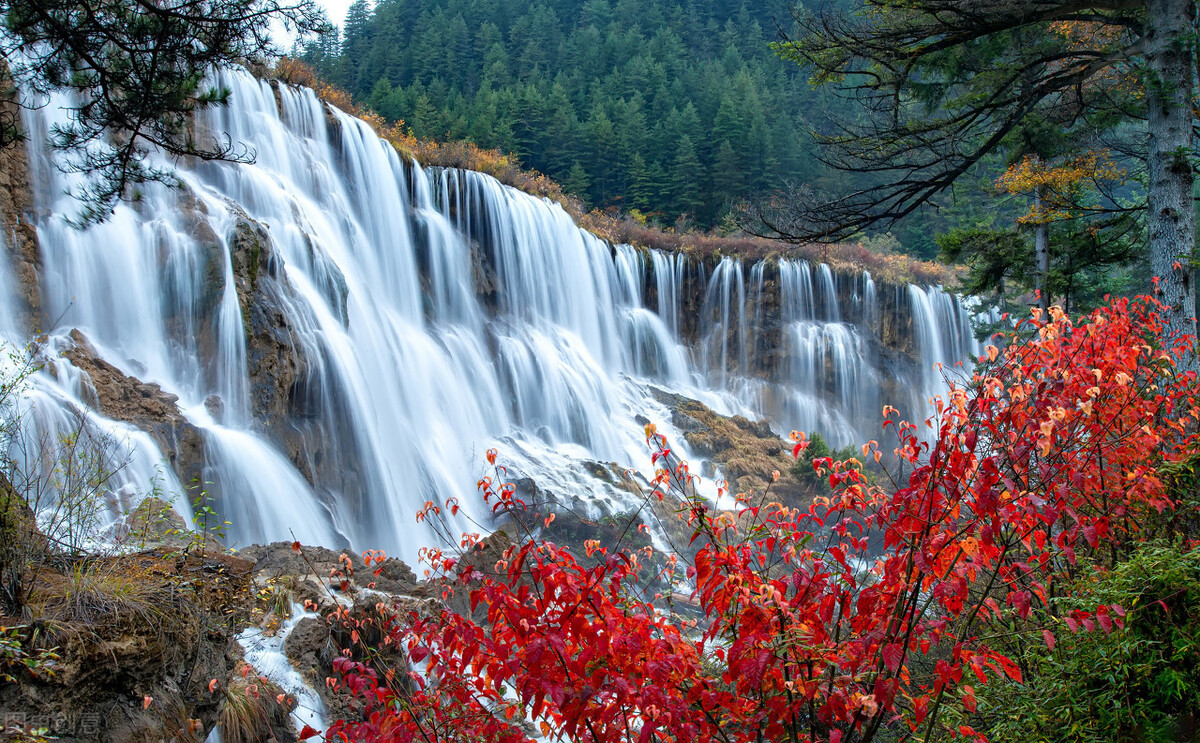 四季皆有美景,国内领略秋景,去这5个地方准没错