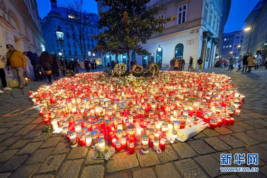 （国际）（3）维也纳：烛光寄哀思