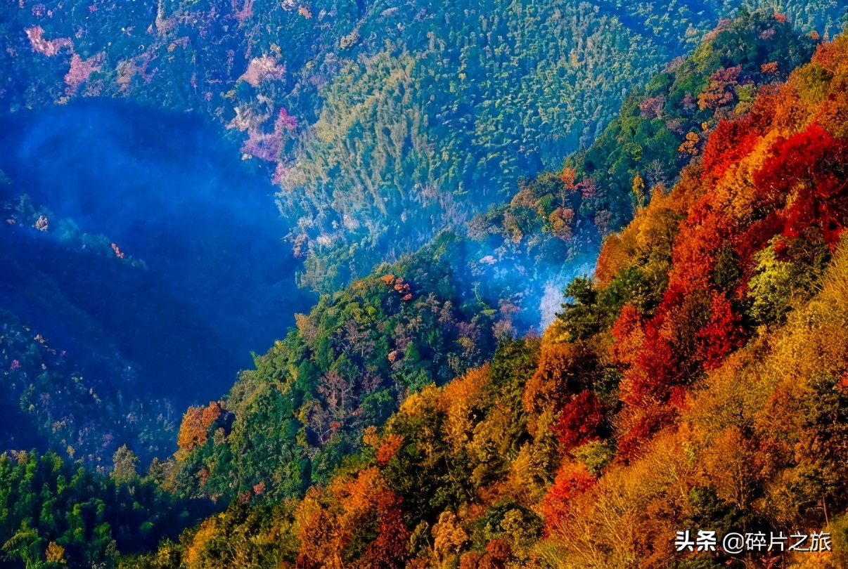 最适合11月出行的几个地方，美得一塌糊涂，美到不想回家