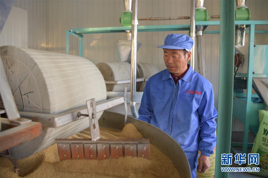 村民在内蒙古自治区包头市土默特右旗白青尧村的食品加工厂内查看设备运转情况（11月5日摄）。 新华社记者 李志鹏 摄